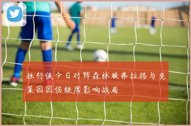 独行侠今日对阵森林狼弗拉格与克莱因因伤缺席影响战局